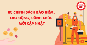 Chính sách bảo hiểm, lao động