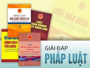 Giải đáp pháp luật năm 2025 Tuần 2, tháng 3